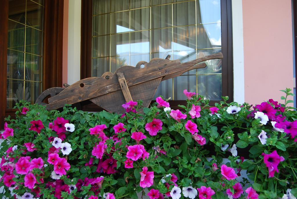 Hotel Quadrifoglio بينْسولُ المظهر الخارجي الصورة